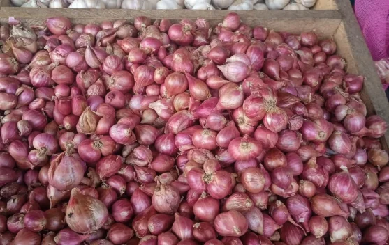 Akhirnya Turun! Harga Bawang di Pasar Langgur Kembali Normal di Angka Rp.50 Ribu Per K