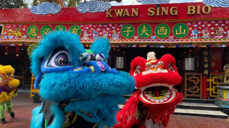 Perayaan Imlek, Klenteng KSB Tuban Suguhkan Hiburan Barongsai