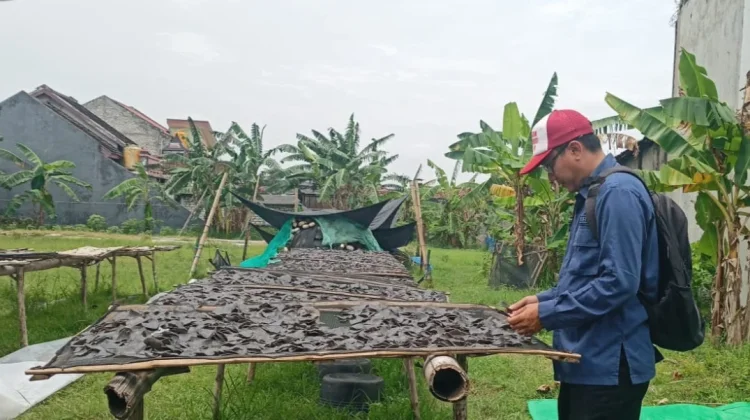 Kenaikan Harga Ikan Berdampak pada Produksi Kerupuk di Tuban