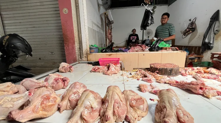 Harga Ayam di Tuban Rp38 Ribu, Diprediksi Naik Mendekati Hari Raya