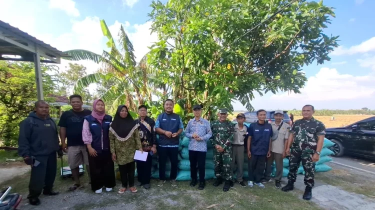 Pemkab Bojonegoro Pantau Harga Gabah di Tingkat Petani
