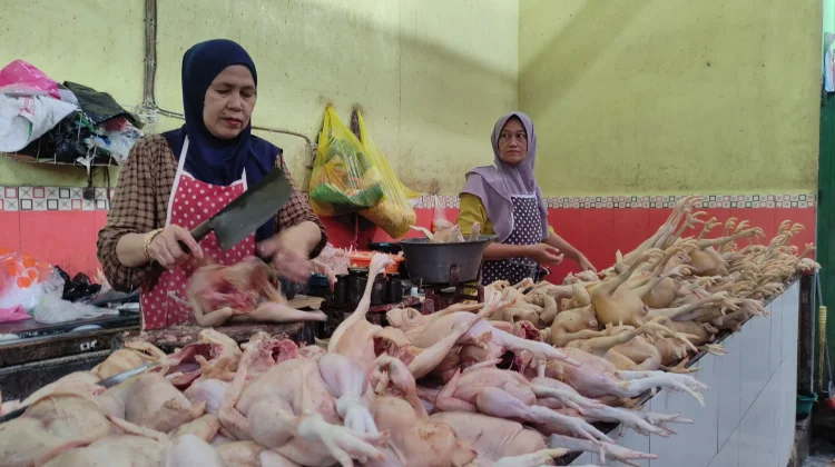 Pascalebaran Harga Ayam di Lamongan Masih Tinggi