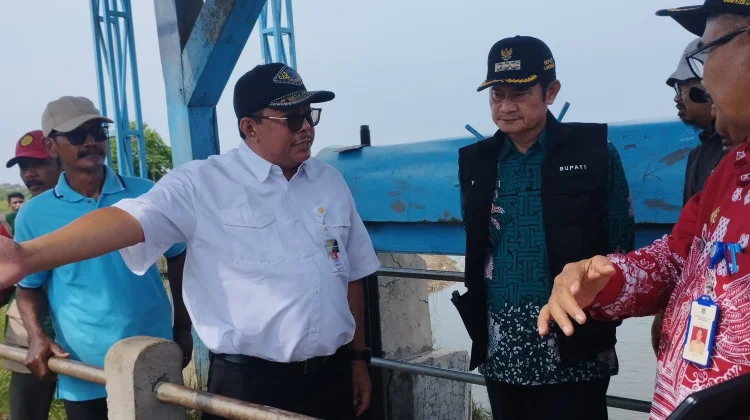 Dirjen Hermanto Pastikan Pertanian Kesiapan Irigasi Lamongan Hadapi Kemarau