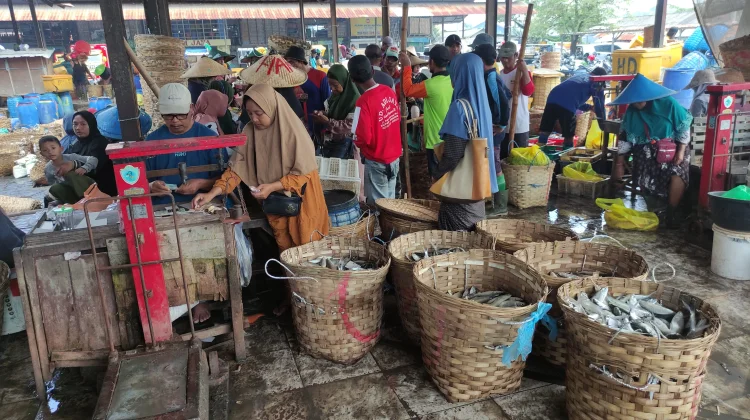 Harga Ikan Air Tawar di Lamongan Anjlok saat Panen Raya