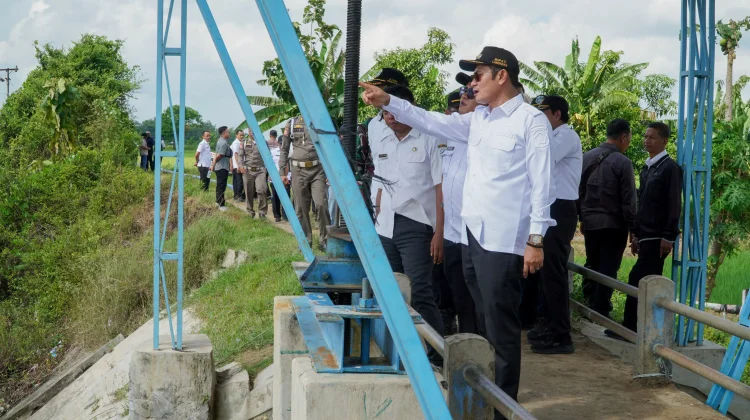 Petani Lamongan Tetap Optimis Tanam di tengah Ancaman El Nino