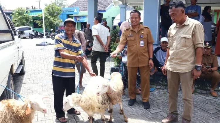 Pemkab Bojonegoro Kembali Salurkan Bantuan Domba Kepada Penerima Manfaat