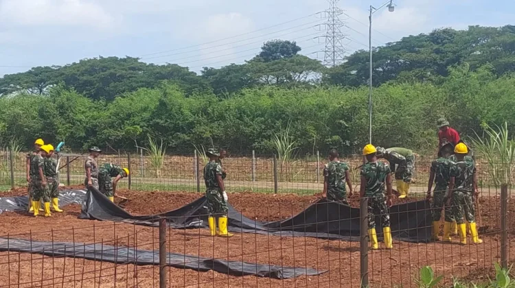 PLN Dukung Ketahanan Pangan di Tuban Melalui CSR Si Pandu dan Desi
