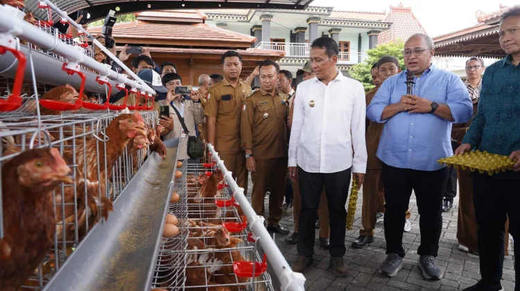 Bupati Bojonegoro Minta ASN dan SPPG Konsumsi Telur Hasil Progam Gayatri