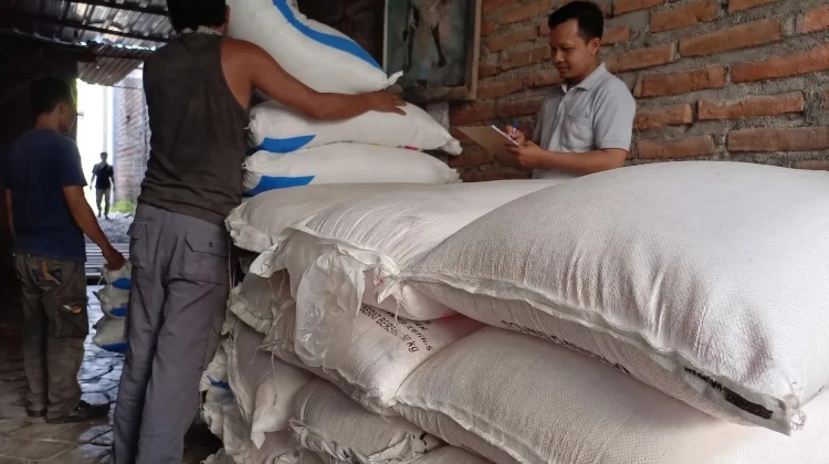 Ketersediaan Pupuk Bersubsidi Jadikan Bojonegoro Sebagai Lumbung Pangan Jatim
