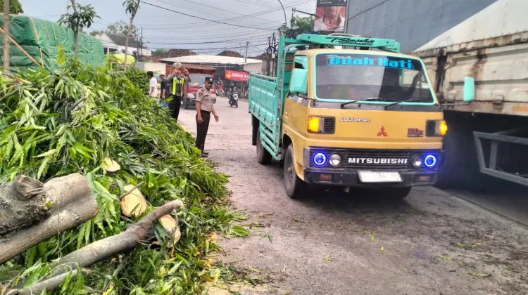 Truk Tangki Tabrak Pohon di Babat, Arus Lalu Lintas Sempat Tersendat