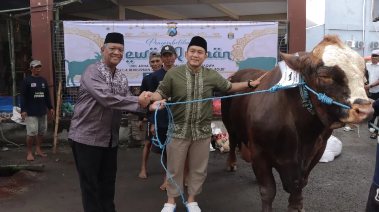 Kapolres Lamongan Sembelih Langsung Sapi Kurban Jumbo Seberat 1,2 Ton