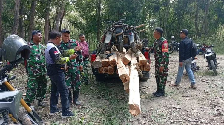 Komplotan Pencuri Kayu Liar Diamankan Petugas di Kawasan Perhutani Jatirogo