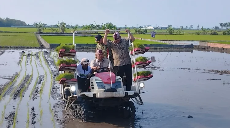 Wamentan: Kunci Panen Melimpah adalah Tanam Lebih Banyak
