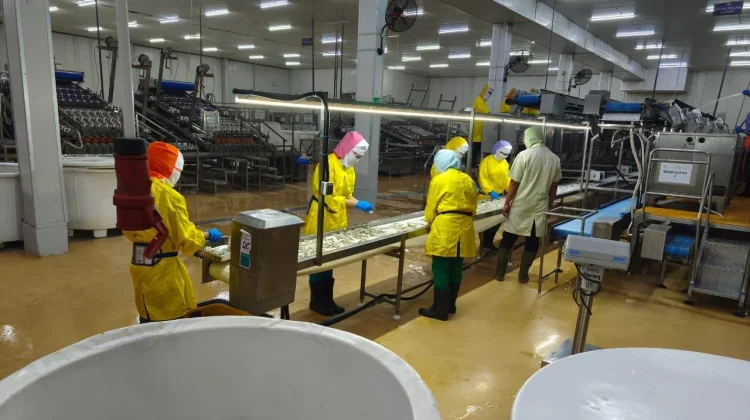 Injeksi Klorin PT BMI Lamongan Terkendali, Aktivitas Produksi Kembali Normal