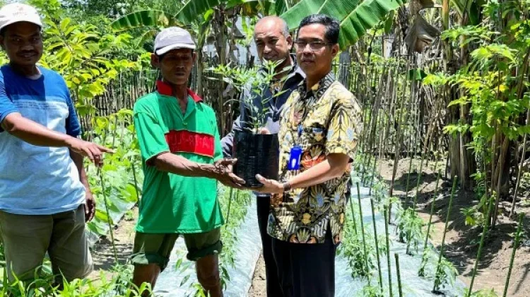 Pemkab Bojonegoro Salurkan Bantuan Bibit untuk Petani