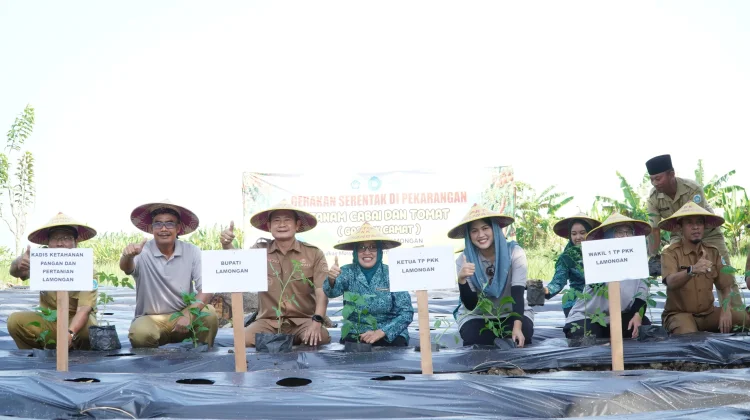 Ketahanan Pangan, Pemkab Lamongan Luncurkan Program Tanam Tomat Cabai