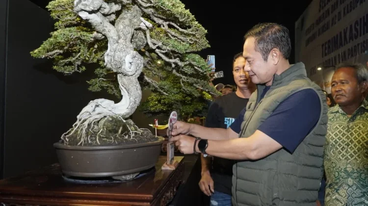 Bupati Lamongan: Pameran Bonsai Nasional di Lamongan Tumbuhkan Ekonomi Kreatif