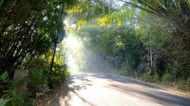 Tuban Alami Fenomena Bediding, Suhu Lebih Dingin dari Biasanya