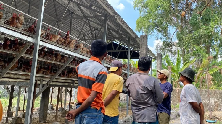 Warga Tuwiri Wetan Tuban Desak Relokasi Kandang Ayam Bumdes akibat Serangan Lalat