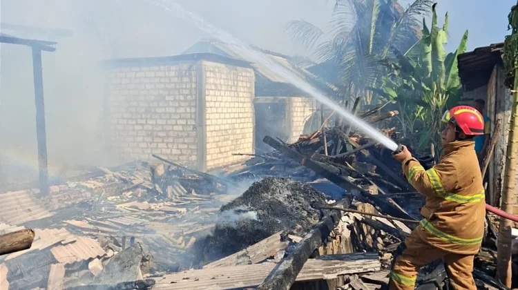 Lupa Matikan Tungku, Rumah dan Kandang di Tuban Hangus Terbakar