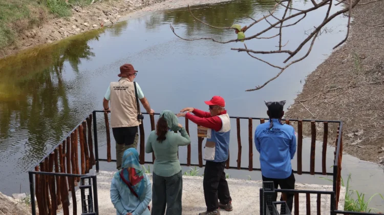Keunikan Wisata Rembesan Minyak Geosite Kedung Lantung Bojonegoro