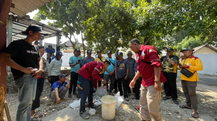 Harga Obat Pertanian Melonjak, Petani di Palang Tuban Beralih Metode Organik