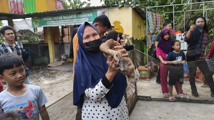Serunya Emak-Emak Lomba Tangkap Bebek dengan Mata Tertutup di Lamongan