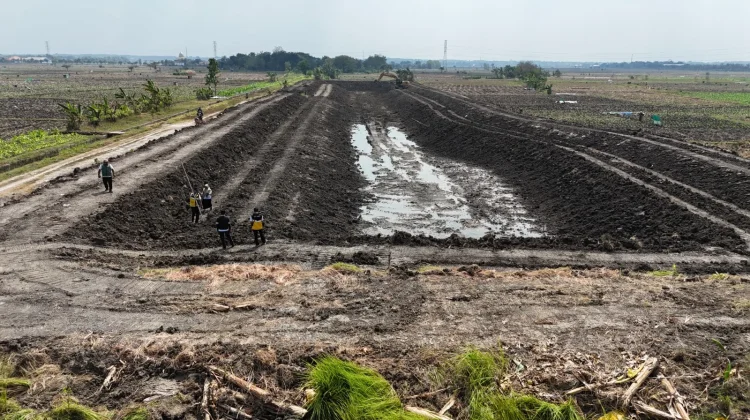Amankan Pasokan Air Bagi Petani, Embung Rowoglandang Bojonegoro Direhabilitasi