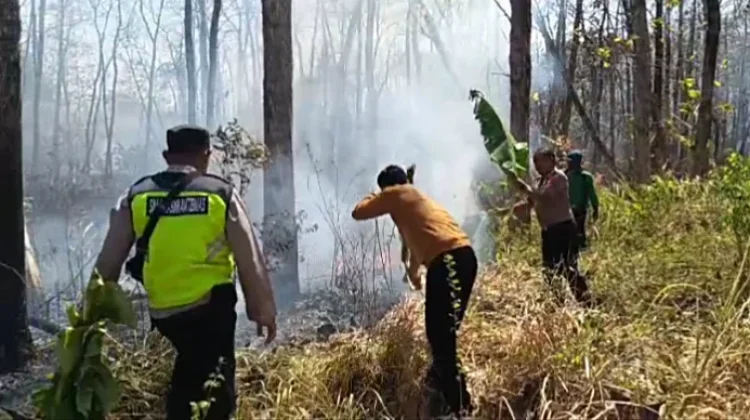 Hutan Pakah Rawan Terbakar, Polisi Ajak Warga Melapor jika Temukan Kobaran Api