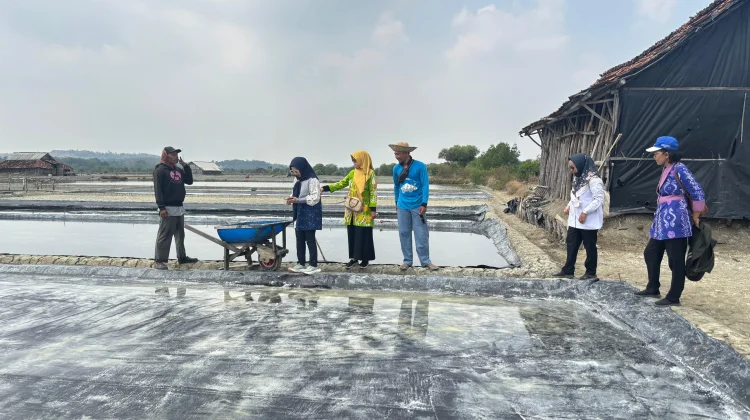 Produksi Garam Lamongan Capai 1.3 Ton, Optimis Penuhi Target