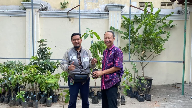 DLHP Tuban Bagikan 100 Bibit Pohon untuk Ciptakan Lingkungan Lebih Hijau
