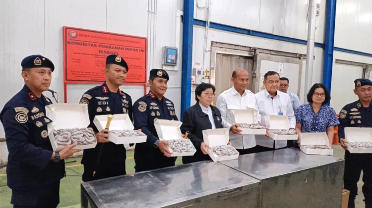 KKP Temukan 144 Ton Udang Vannamei Impor di PT BMI Lamongan
