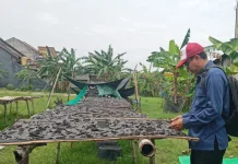 Kenaikan Harga Ikan Berdampak pada Produksi Kerupuk di Tuban