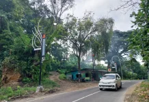 PJU Ikonik, Filosofi Mendalam Tentang Legenda Kabupaten Bojonegoro