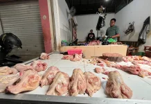 Harga Ayam di Tuban Rp38 Ribu, Diprediksi Naik Mendekati Hari Raya