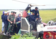 Perkuat Sektor Pangan, Pemkab Bojonegoro Panen Padi Varietas Gamagora
