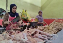 Pascalebaran Harga Ayam di Lamongan Masih Tinggi