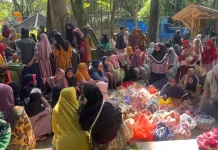 Warga Bektiharjo Tuban Jaga Tradisi Beri Makan Ikan Monyet