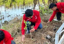 GMNI Unisla Lamongan Tanam Ratusan Pohon, Peduli Lingkungan di Hari Bumi