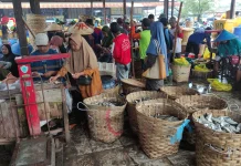 Harga Ikan Air Tawar di Lamongan Anjlok saat Panen Raya