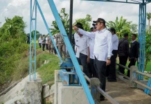 Petani Lamongan Tetap Optimis Tanam di tengah Ancaman El Nino
