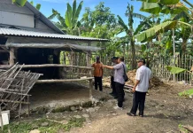 Enam Ekor Sapi di Tuban Dicuri dalam Semalam