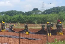 PLN Dukung Ketahanan Pangan di Tuban Melalui CSR Si Pandu dan Desi
