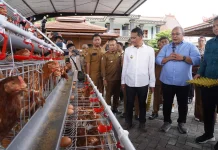Bupati Bojonegoro Minta ASN dan SPPG Konsumsi Telur Hasil Progam Gayatri
