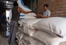 Ketersediaan Pupuk Bersubsidi Jadikan Bojonegoro Sebagai Lumbung Pangan Jatim