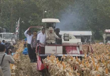 Dukung Ketahanan Pangan, Presiden Prabowo Panen Raya di Tuban