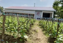 KDKMP Tumenggungan Baru Ubah Citra Makam Jadi Lebih Produktif