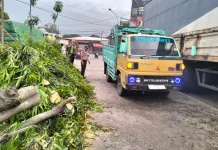Truk Tangki Tabrak Pohon di Babat, Arus Lalu Lintas Sempat Tersendat