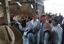 Khofifah Pastikan Hewan Kurban Jatim Aman dan Cukup