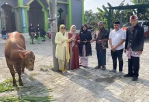 DWP Lamongan Salurkan Sapi Kurban ke Desa Minim Penyembelihan